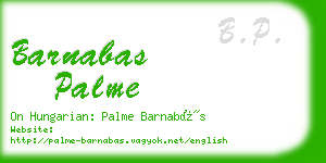 barnabas palme business card